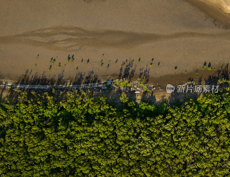 湄公河三角洲天江省海岸冲积红树林航拍摘要图像