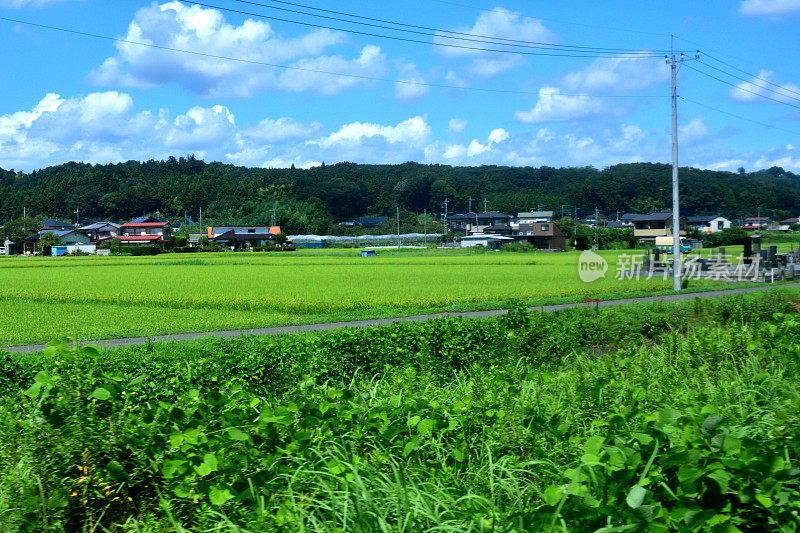 日本东部乡村景观:东武铁路观景