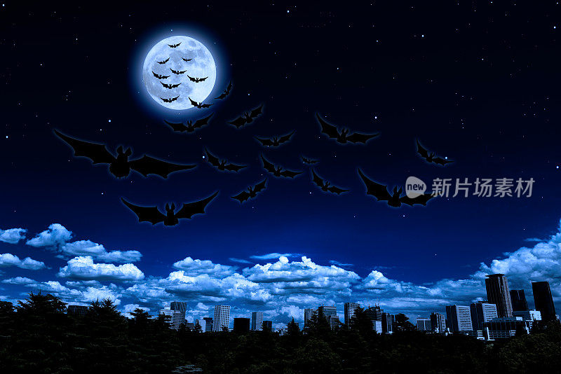 超级月亮在城市天际线上飞过蝙蝠