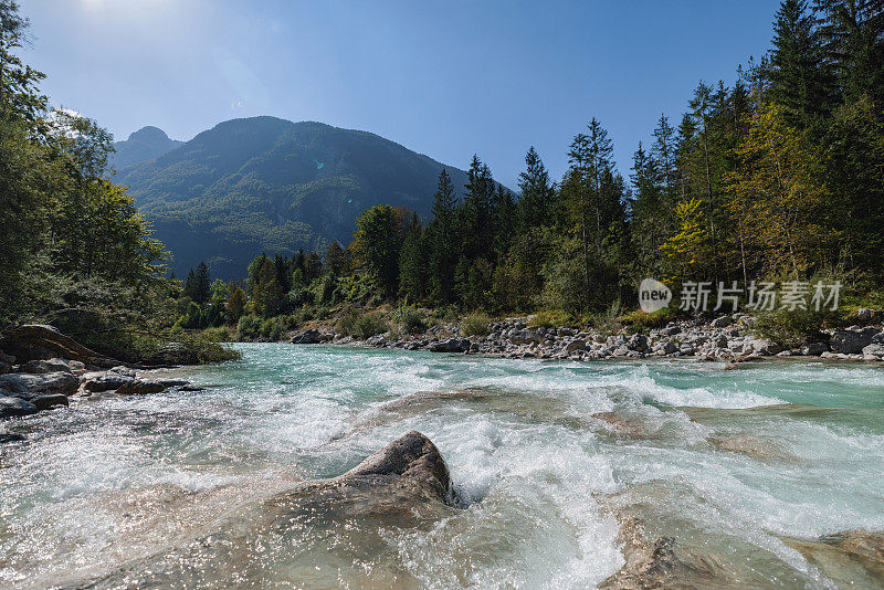 绿松石般的河水在美丽的森林中流淌