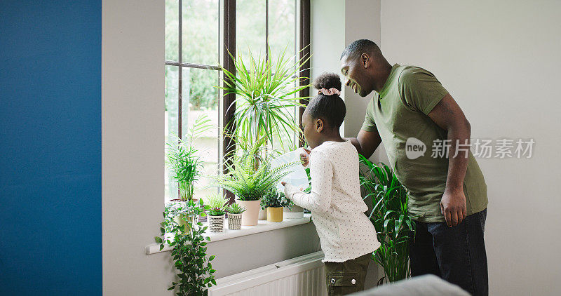 父亲，女儿和水植物与园艺和自然，结合在家里的爱和支持。家庭，黑人男子和年轻女孩与绿叶，生长和生态友好的环境