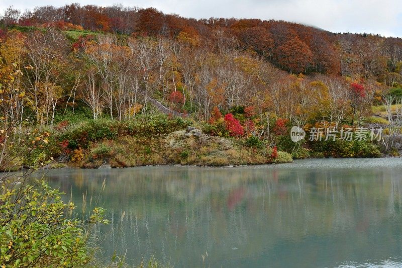 日本东北部的秋天:地狱沼泽，青森