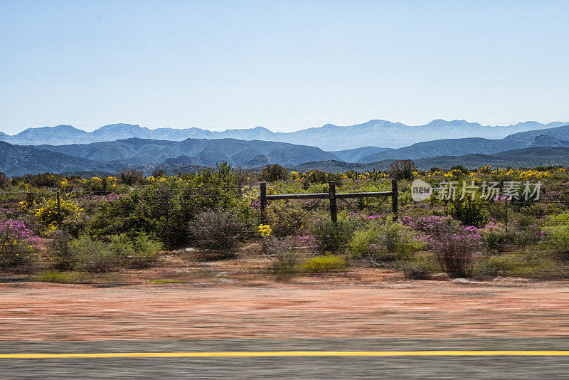 从南非的汽车上看风景
