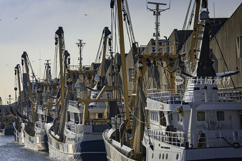 一组商业拖网渔船在斯赫弗宁根港