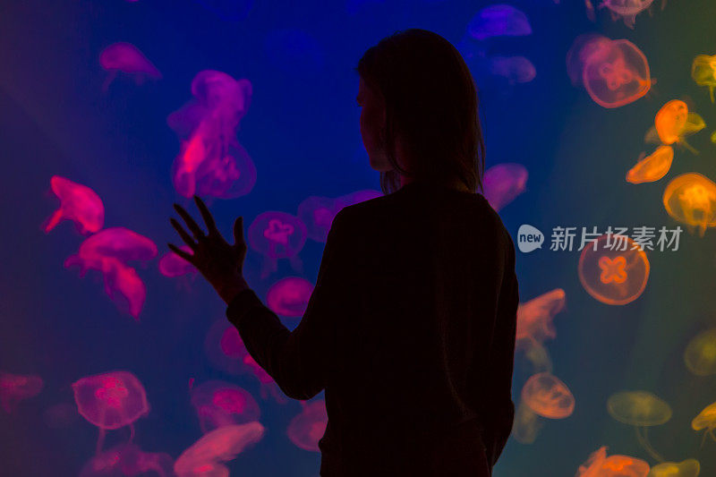 在水族馆里看水母的女人