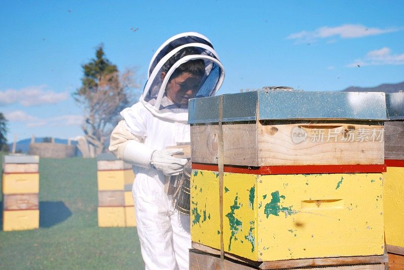穿着蜜蜂服的孩子在照看他的蜂箱