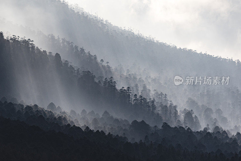 Phobjikha山谷景观与戏剧性的光线从阳光过滤通过雾霾在森林