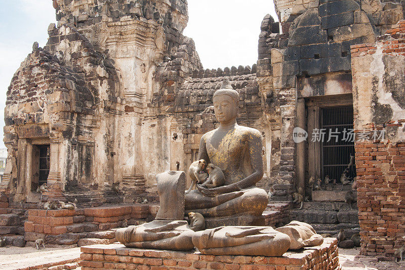 亚洲泰国华富里的一座寺庙废墟外，猴子们坐在一尊安静佛像的怀抱里，闭着眼睛，缺了鼻子，双手打坐