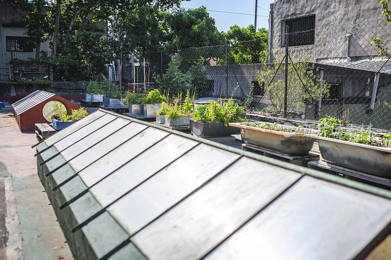 屋顶花园与小温室和种植者