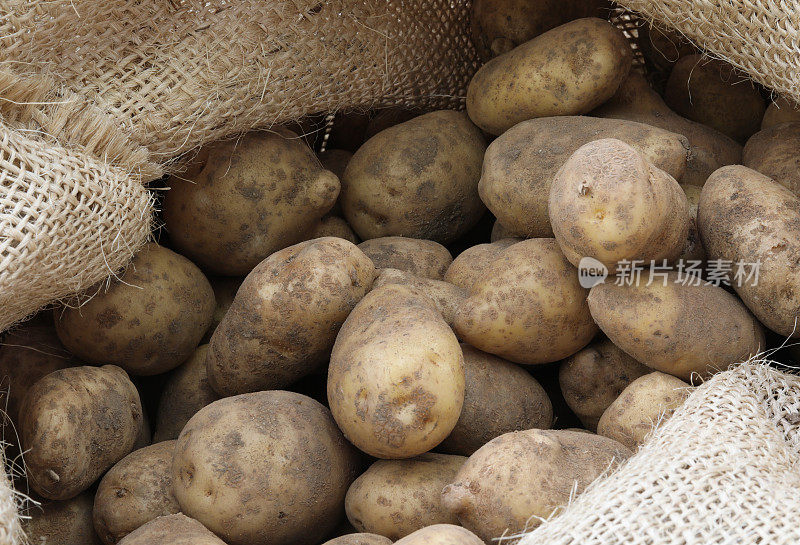 麻袋里装了许多土豆