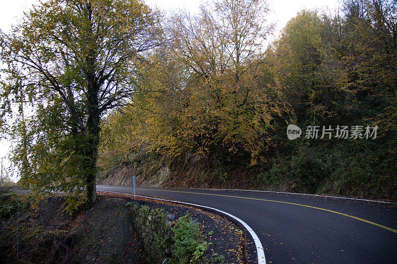 在秋天转弯，柏油路景色