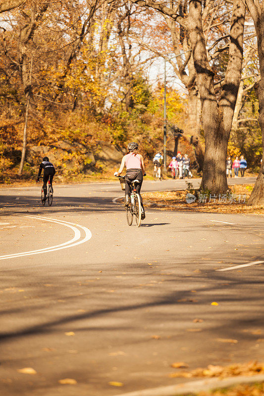 在纽约曼哈顿中央公园骑自行车