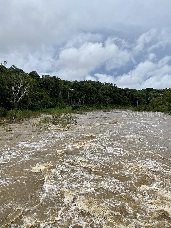 洪水雨林河-潮湿的热带，远北昆士兰