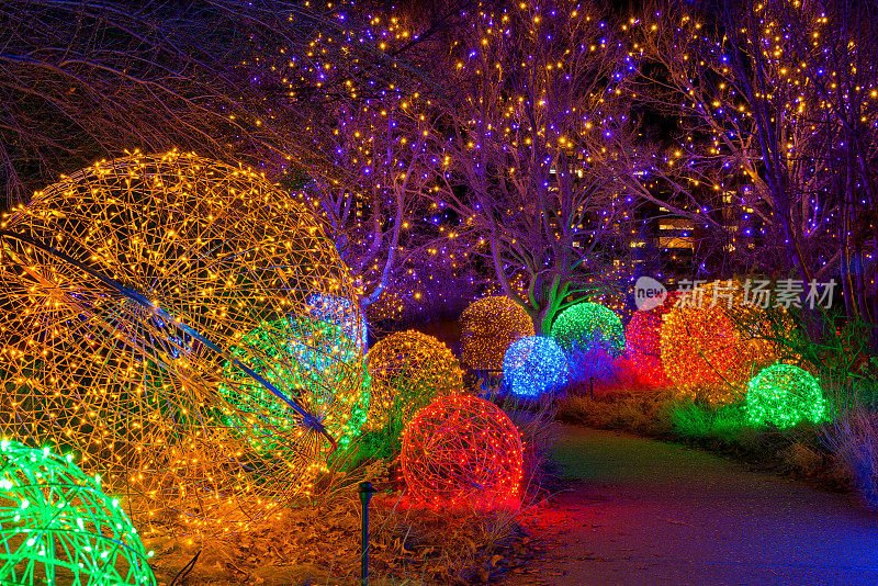 灯光之路-在丹佛植物园的节日“光之花”活动期间，一条被五彩缤纷的灯光照亮的蜿蜒小径的夜景。美国科罗拉多州丹佛市。
