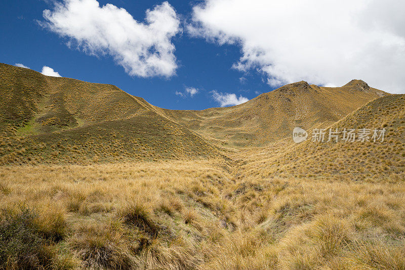 新西兰南岛林迪斯山口干燥干燥的山坡