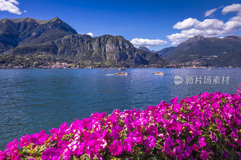 科莫湖和意大利伦巴第Bellagio的杜鹃花高山景观