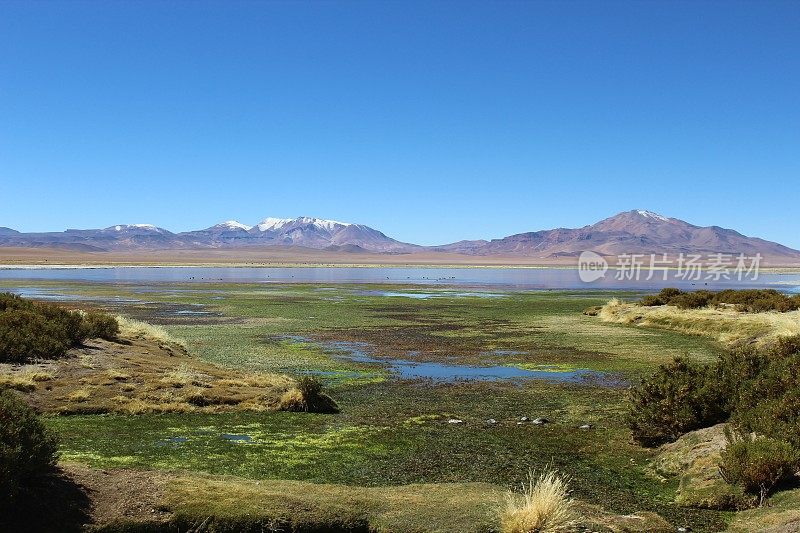 塔拉盐平（萨拉德塔拉），阿塔卡马沙漠，智利