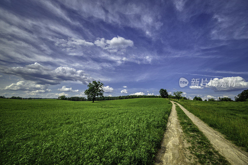 乡村景观中的乡村道路(HDRi)