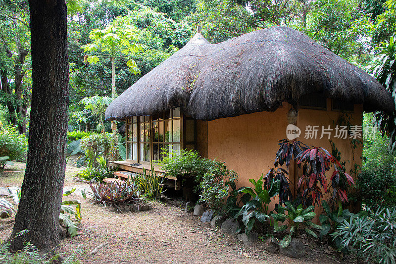 传统菲律宾丛林小屋