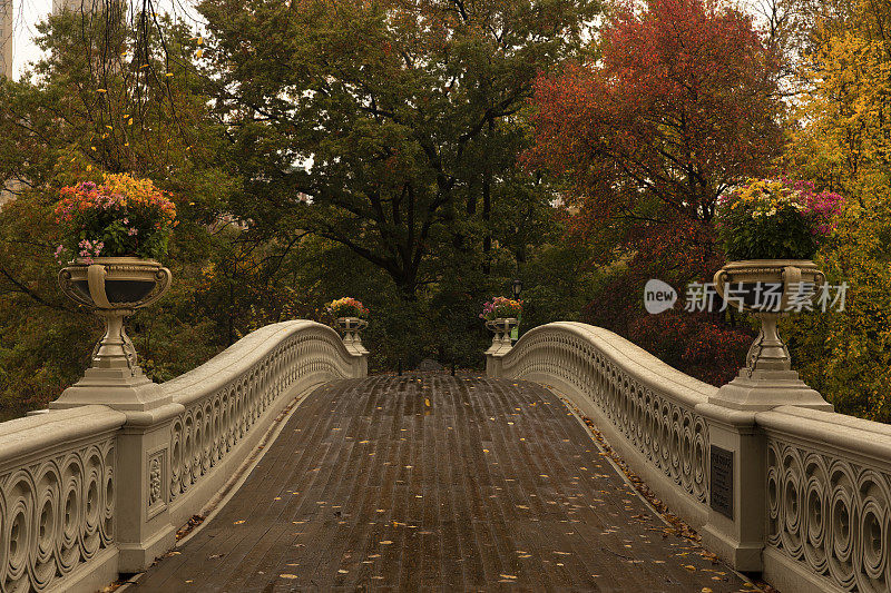 中央公园弓桥秋天