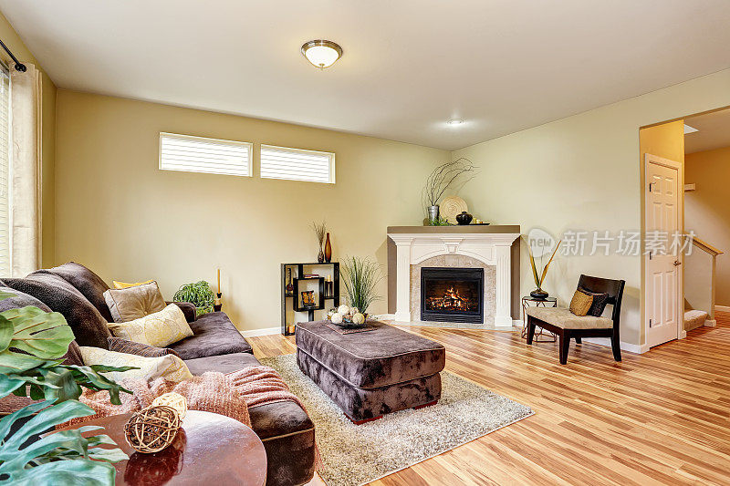 舒适的客厅内部有壁炉和硬木地板。