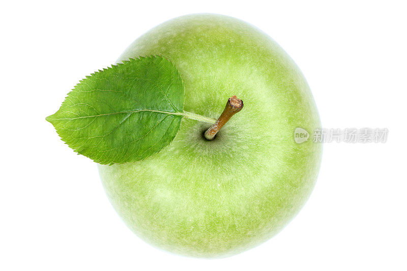 苹果果顶视图绿色孤立在白色