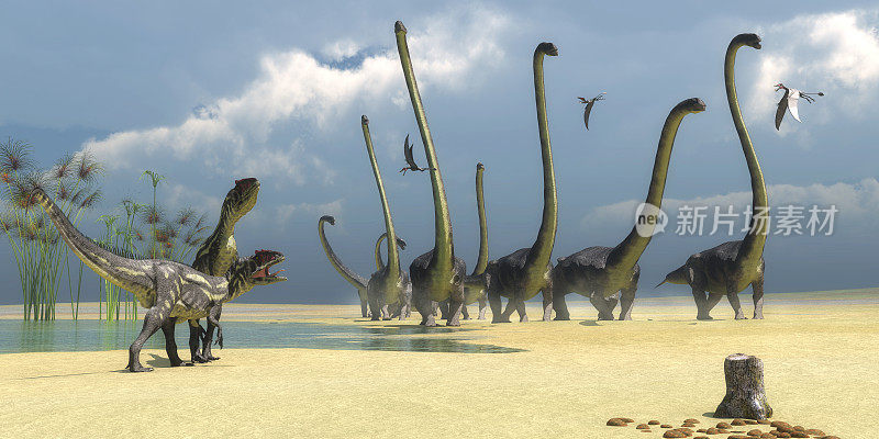 异特龙和Omeisaurus恐龙