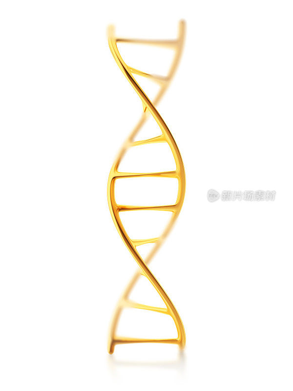 人类DNA分子片段的金标准