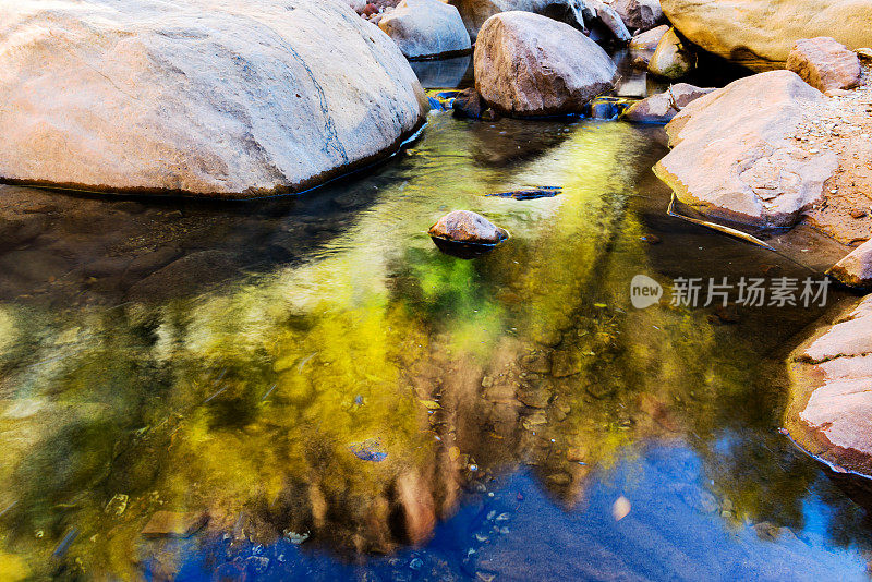 秋映松溪，锡安国家公园