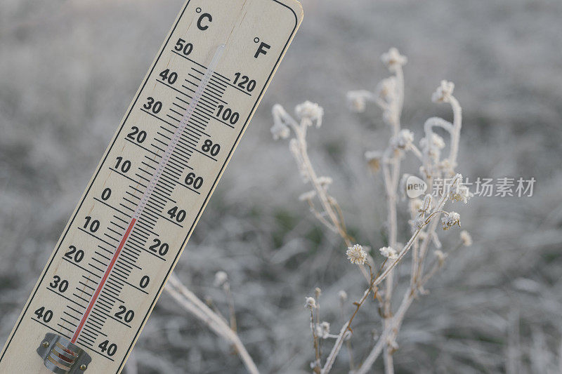 温度计与零摄氏度旁边的冷冻植物