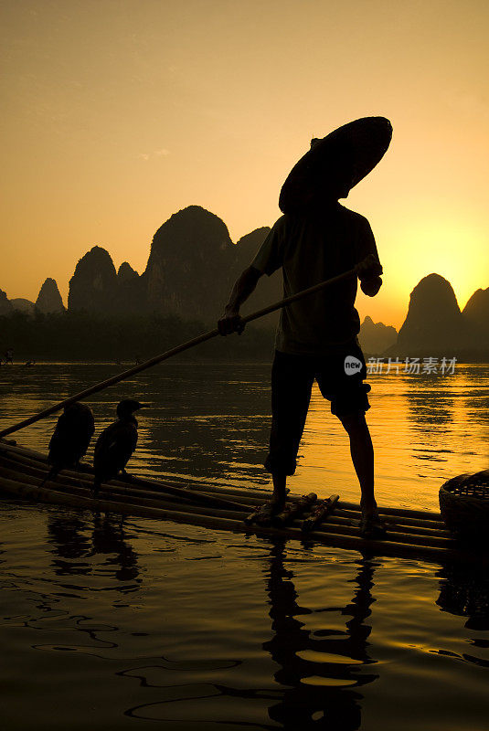 中国鸬鹚在河上捕鱼