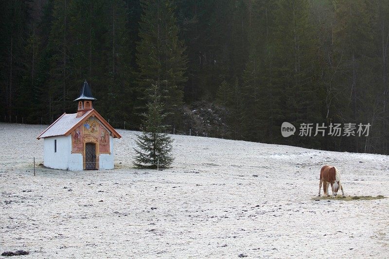 冬天草地上的教堂，圣诞树和牧马