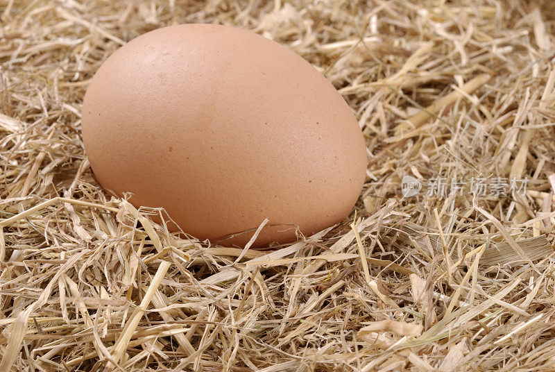 稻草上放着的棕色鸡蛋。
