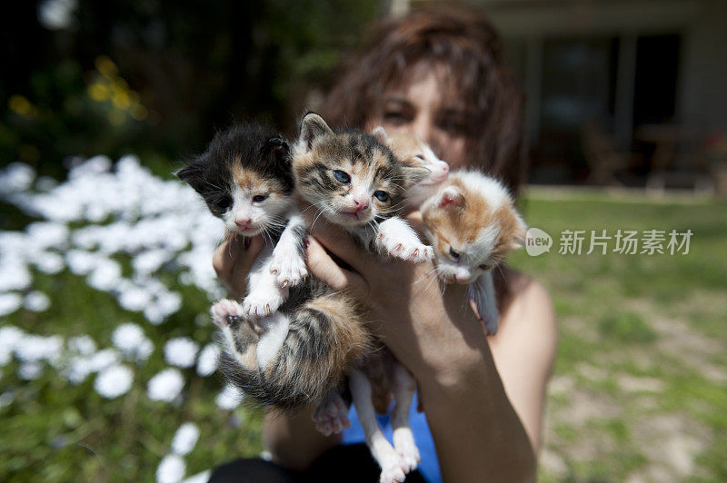 抱着四只小猫的妇女