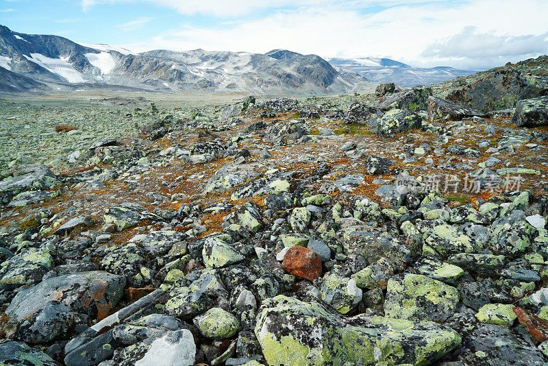 jotunhemenmountains的岩石高原风景