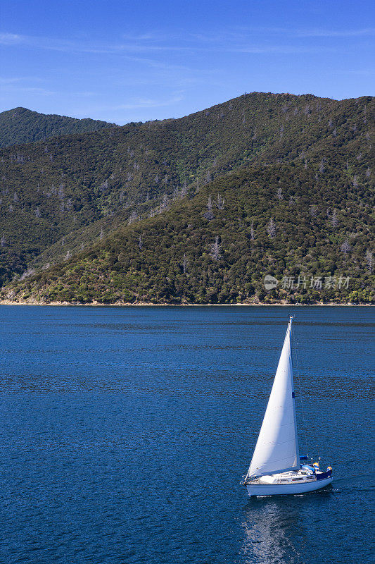 新西兰库克海峡夏洛特女王海峡上的一艘帆船
