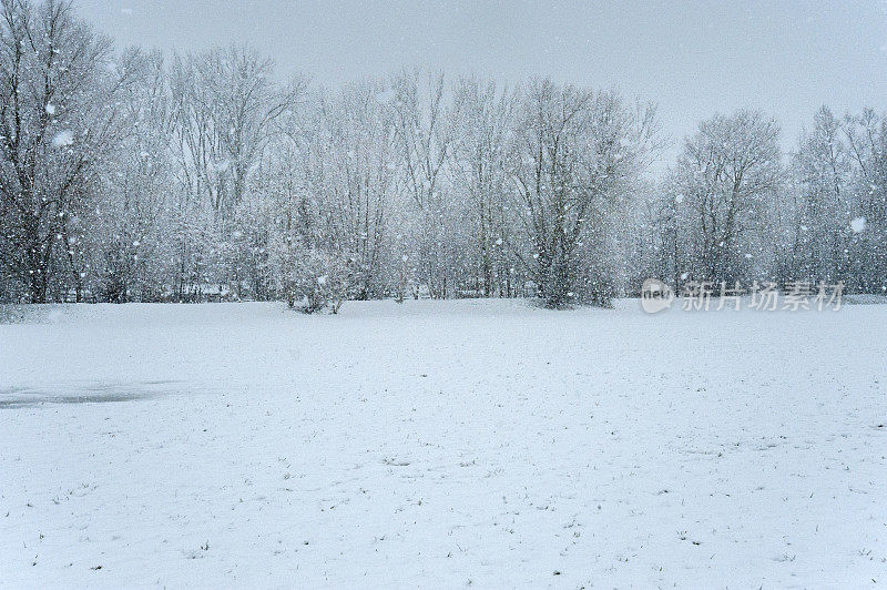 降雪