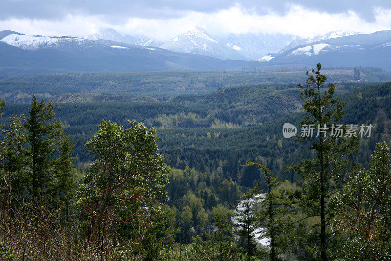 从山峰枚举克华盛顿多云的远景