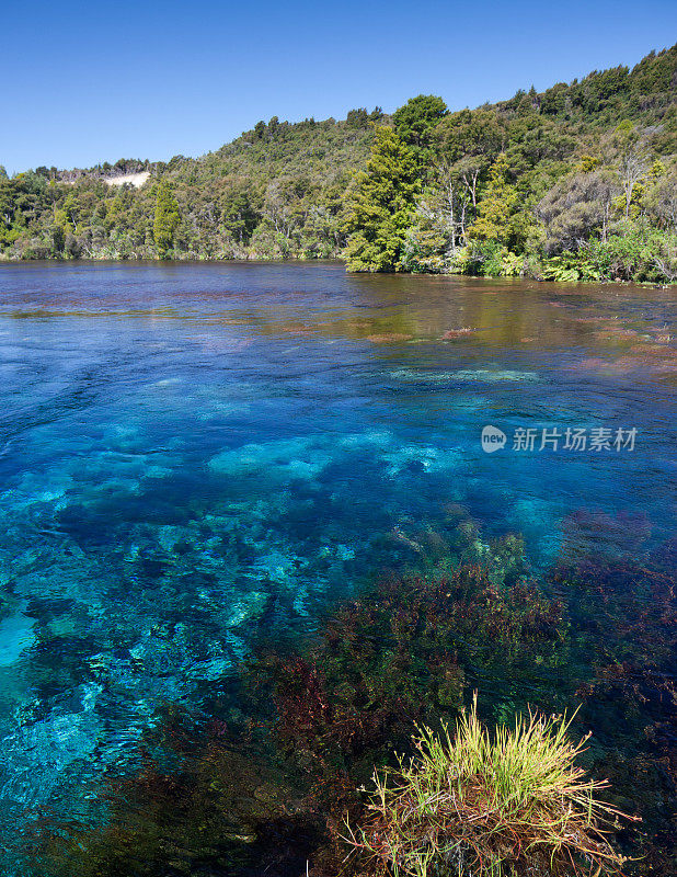 泰威科罗普温泉，金湾，新西兰