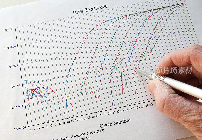 实时PCR结果分析