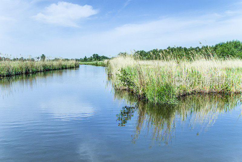 草，运河，沼泽，Giethoorn，荷兰