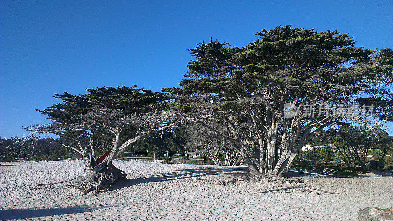 加州卡梅尔太平洋海岸线的沙滩