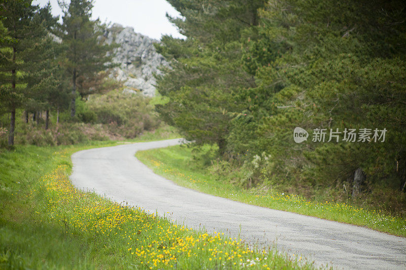 乡村路，春天山。