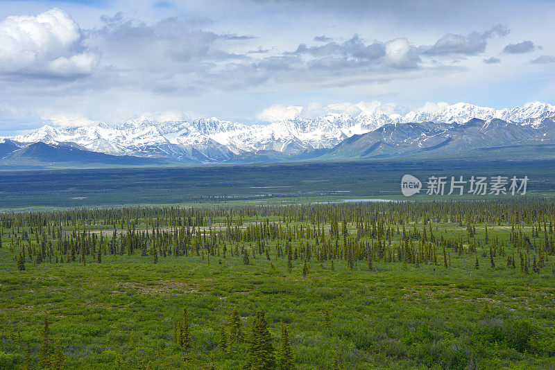 阿拉斯加美丽