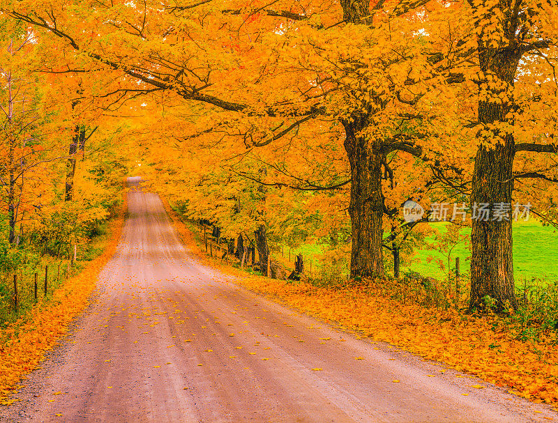 佛蒙特州秋天的乡村公路