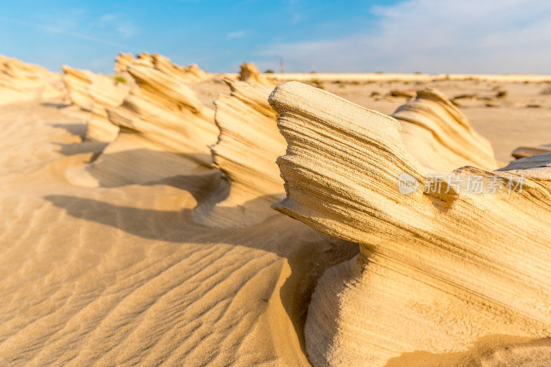 阿布扎比的沙丘化石