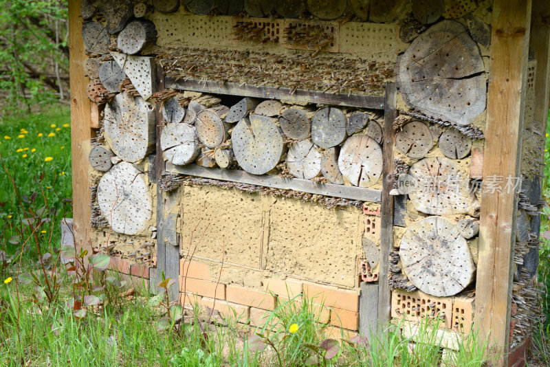 野生独居蜜蜂昆虫旅馆
