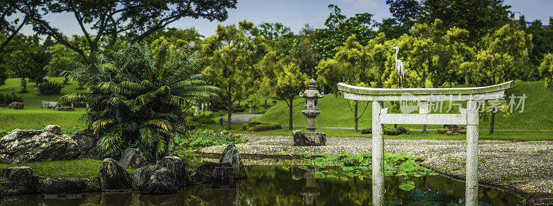 鹭栖息在新加坡日本花园公园的torri门上