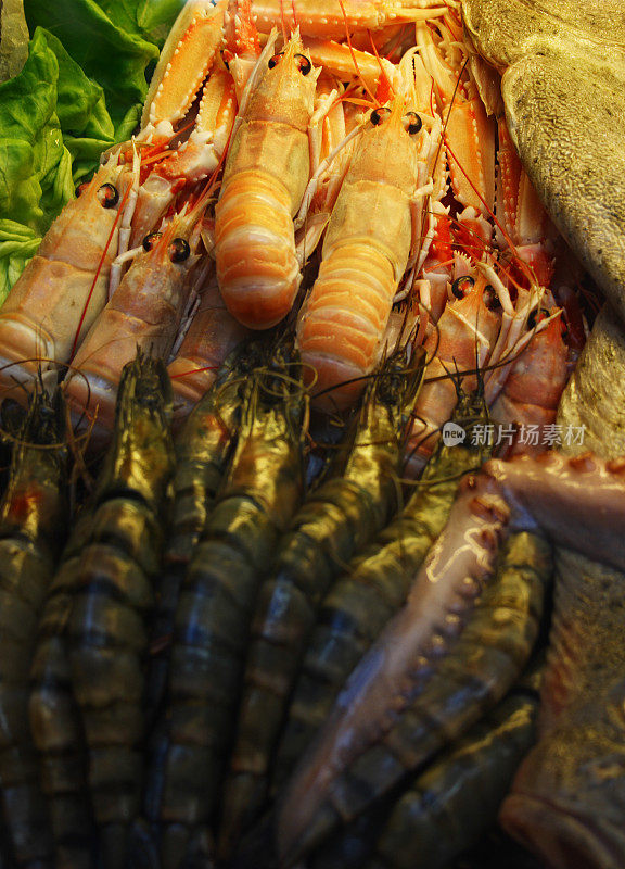 冷藏虾及其他海产品