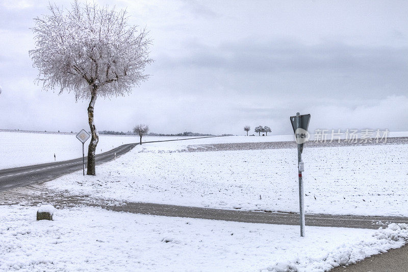 树和标志在春天的雪，沃德，HDR，瑞士